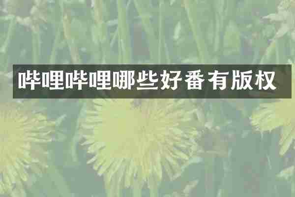 哔哩哔哩哪些好番有版权