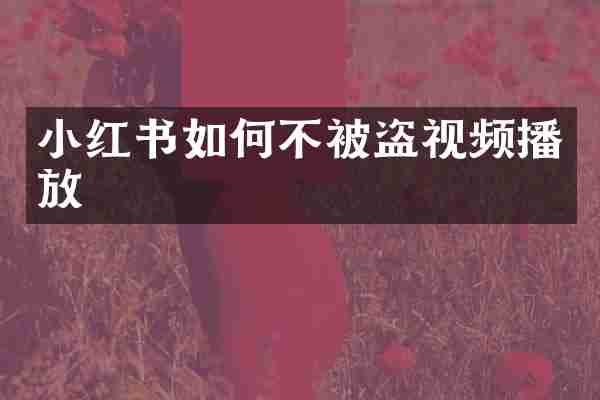 小红书如何不被盗视频播放