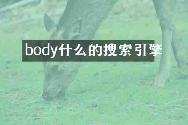 body什么的搜索引擎