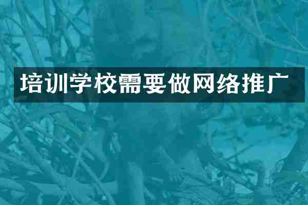 培训学校需要做网络推广