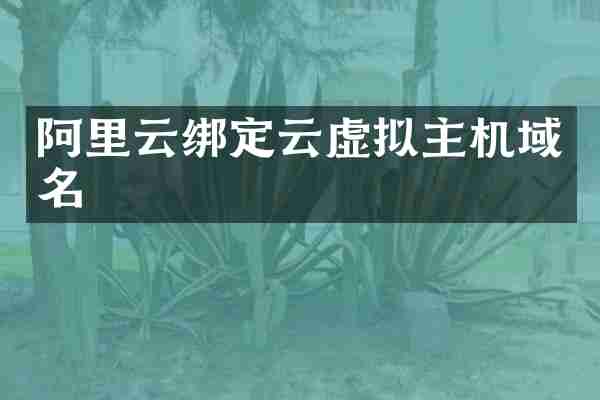 阿里云绑定云虚拟主机域名