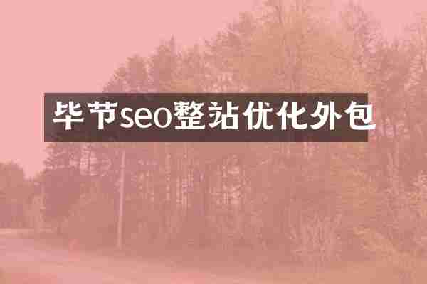 毕节seo整站优化外包