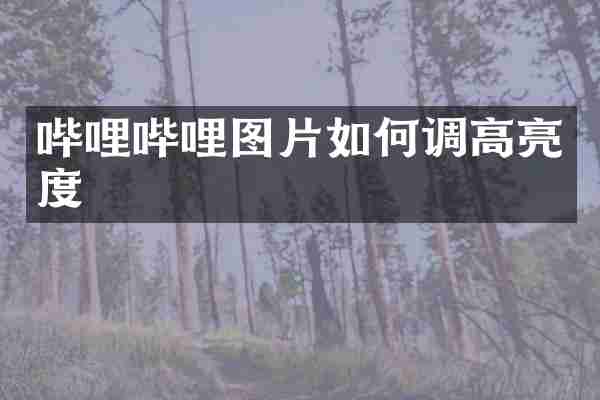 哔哩哔哩图片如何调高亮度