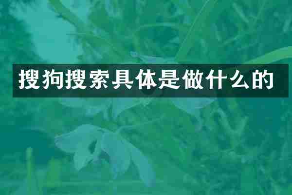 搜狗搜索具体是做什么的