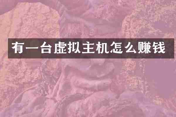 有一台虚拟主机怎么赚钱