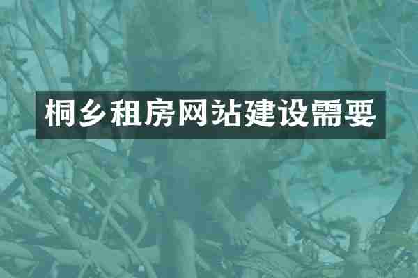 桐乡租房网站建设需要