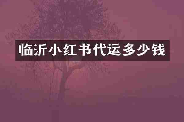 临沂小红书代运多少钱
