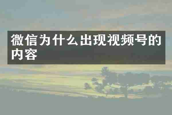 微信为什么出现视频号的内容