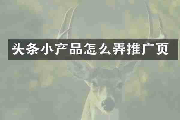 头条小产品怎么弄推广页