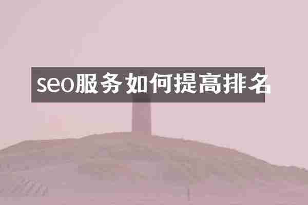 seo服务如何提高排名