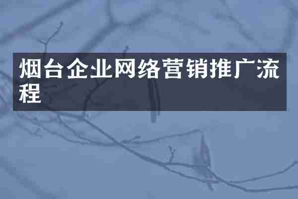 烟台企业网络营销推广流程