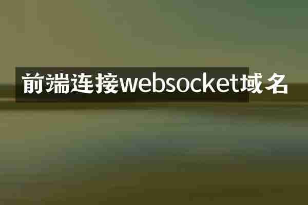 前端连接websocket域名