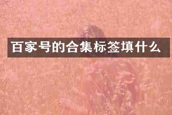 百家号的标签填什么