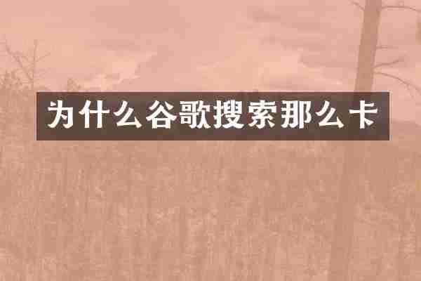 为什么谷歌搜索那么卡