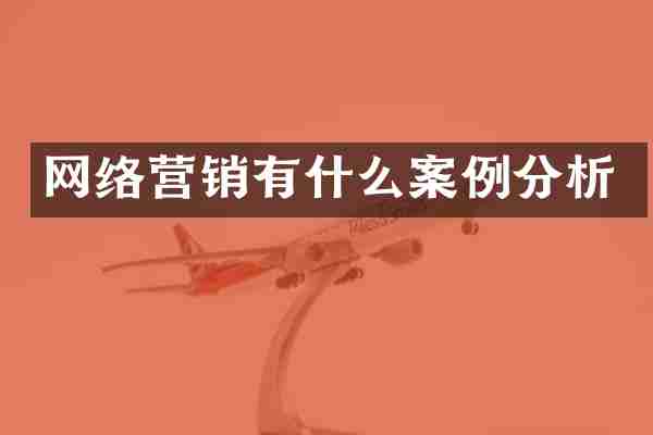 网络营销有什么案例分析