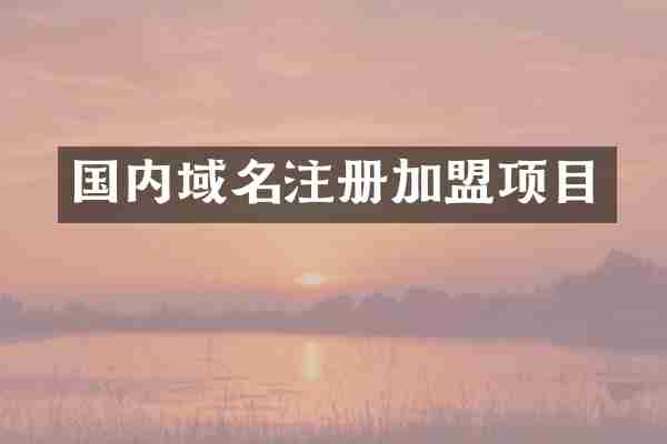 国内域名注册加盟项目