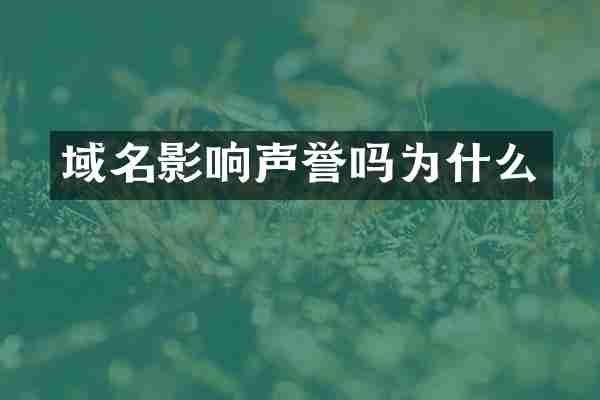 域名影响声誉吗为什么