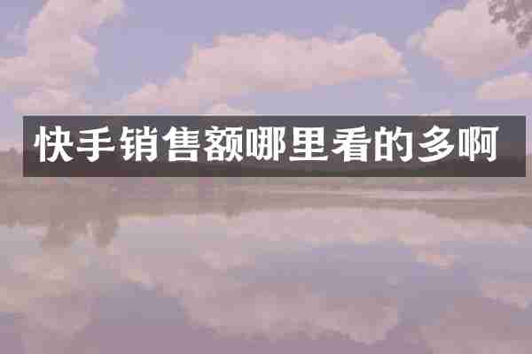 快手销售额哪里看的多啊
