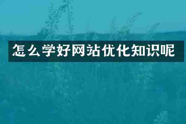 怎么学好网站优化知识呢