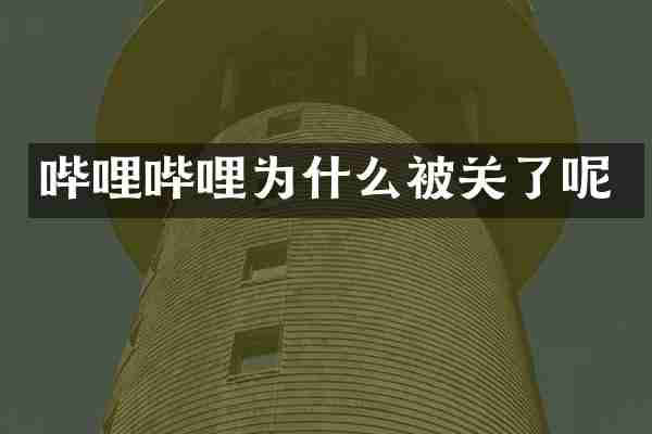 哔哩哔哩为什么被关了呢