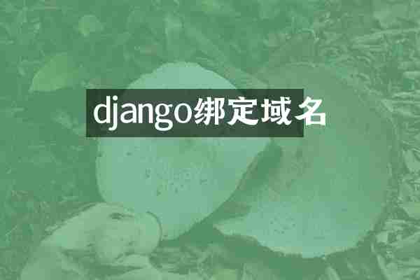 django绑定域名