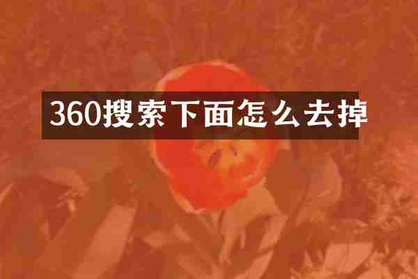 360搜索下面怎么去掉