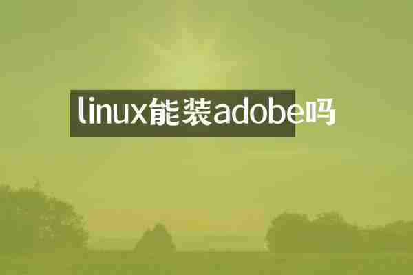 linux能装adobe吗