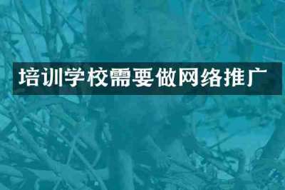 培训学校需要做网络推广