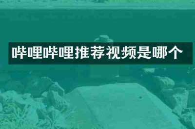 哔哩哔哩推荐视频是哪个