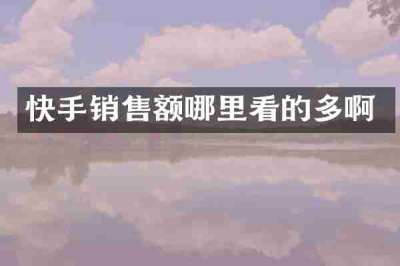 快手销售额哪里看的多啊