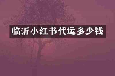 临沂小红书代运多少钱