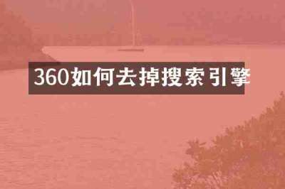 360如何去掉搜索引擎