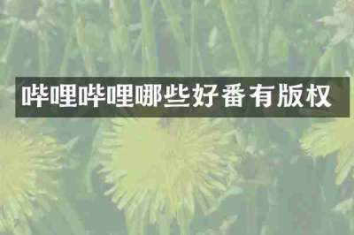 哔哩哔哩哪些好番有版权