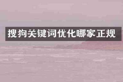 搜狗关键词优化哪家正规