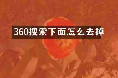 360搜索下面怎么去掉