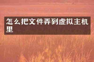 怎么把文件弄到虚拟主机里