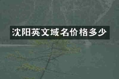 沈阳英文域名价格多少