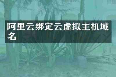 阿里云绑定云虚拟主机域名