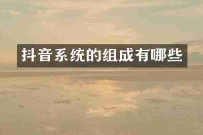 抖音系统的组成有哪些