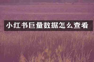 小红书巨量数据怎么查看