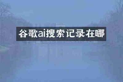谷歌ai搜索记录在哪