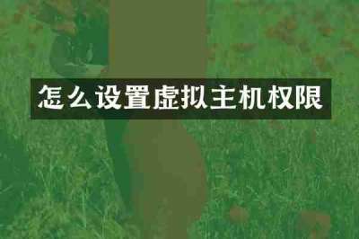 怎么设置虚拟主机权限