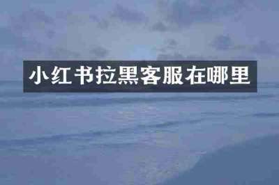 小红书拉黑客服在哪里