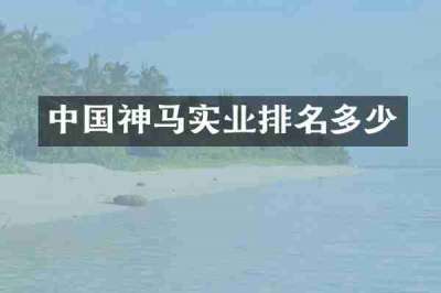 中国神马实业排名多少