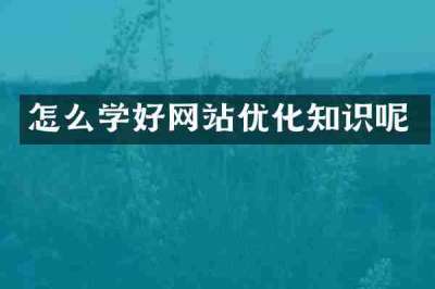 怎么学好网站优化知识呢