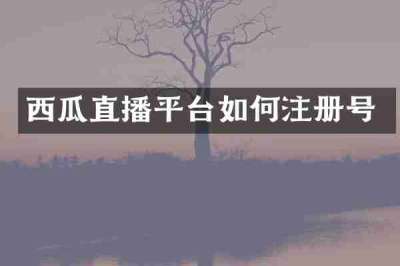 西瓜直播平台如何注册号