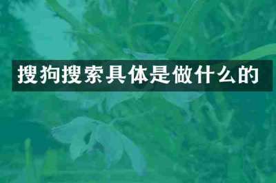 搜狗搜索具体是做什么的