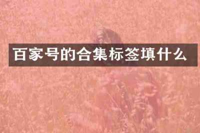 百家号的合集标签填什么