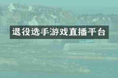 退役选手游戏直播平台
