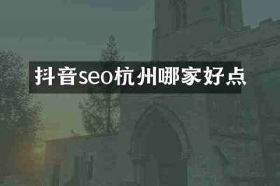抖音seo杭州哪家好点